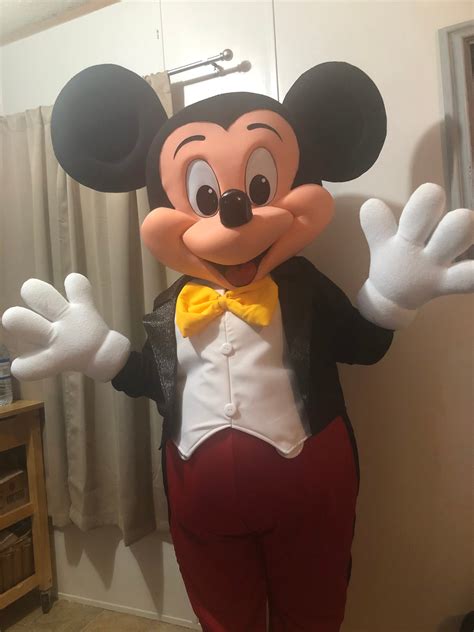 Mickey mouse masfot costume